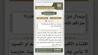 4072 - حكم من لديها كلبة تحرس بيتها ومزرعتها وتقتل أولادها الصغار - نور على الدرب image