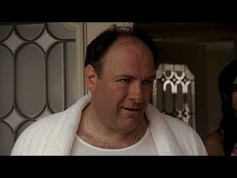 Tony Gets Arrested | The Sopranos