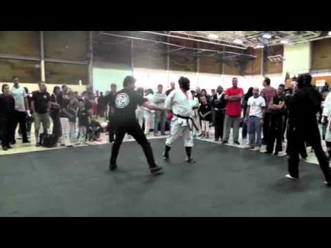 Hybrid Fighting 2013 SA2013HFA4