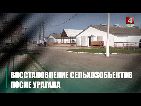 На Гомельщине работы по ликвидации последствий урагана не прекращаются видео