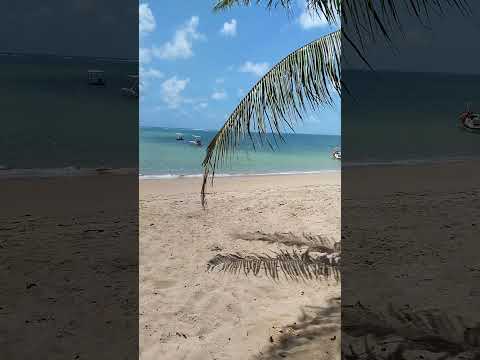 são José da Coroa grande #praiasdonordeste