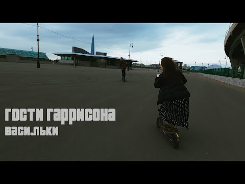 Гости Гаррисона - Васильки (Videotrack)