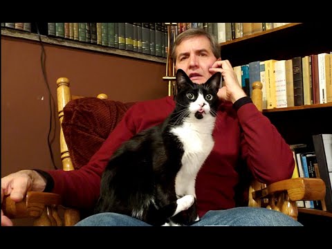 On Aristotle & On Deliberate Practice in Higher Language Studies edit