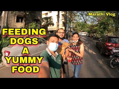 Feeding Stray Dogs #foodvlog #marathivlogssahil #feedingdogs