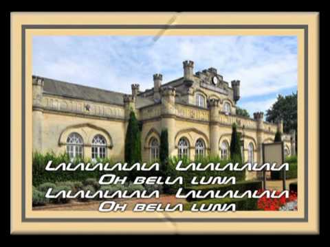 Ezzebleef - Bella Luna