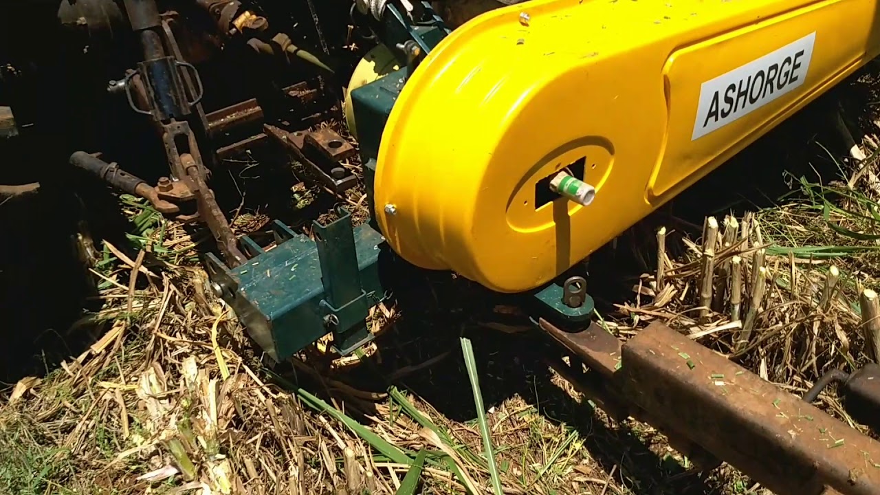 ensilagem da BRS Capiaçu com ensiladeira pinheiro