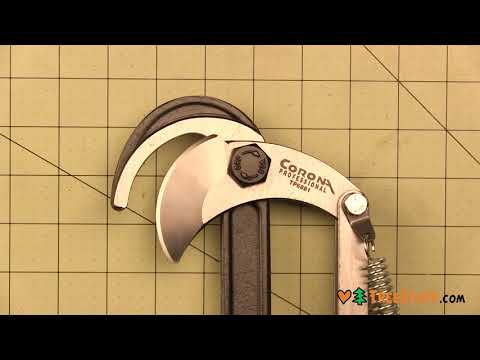 YouTube Thumbnail CP7dqFzHlL8