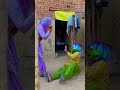 Kallo Happy Holi To
