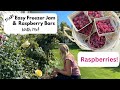 Raspberries!! Make Easy Freezer Jam & Raspberry Bars With Me!