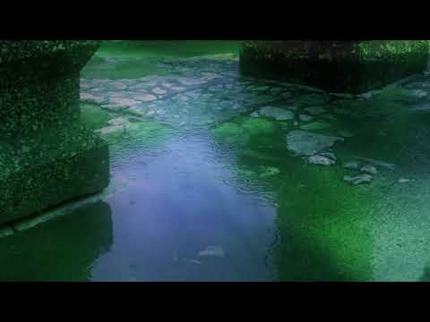 “Tears of the Angels” – Release the Sadness, Let Your Spirit Soar (1 hour healing meditation)