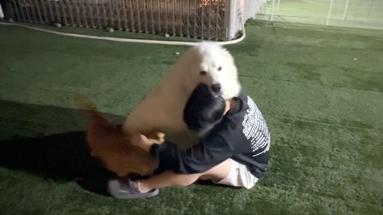 自分は仔犬だと思っているようです