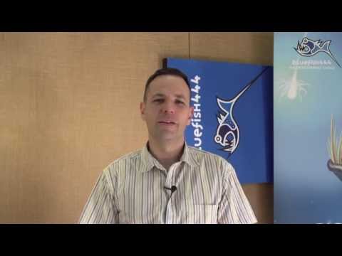 Bluefish444 IngeSTore Overview