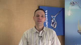 Bluefish444 IngeSTore Overview