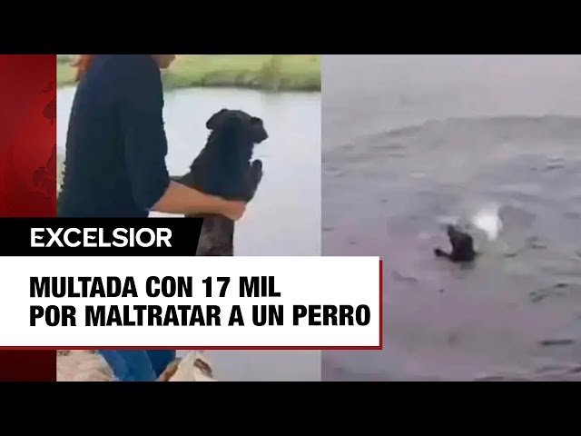 Youtube Imagen