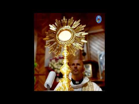 Spotkanie otwarte 17.09.2022 - Koronka do Bożego Miłosierdzia, uwielbienie