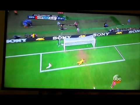 algeria  south korea