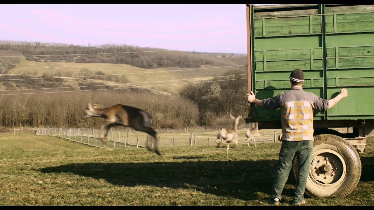 Trailer | Pulse | Robin Petré