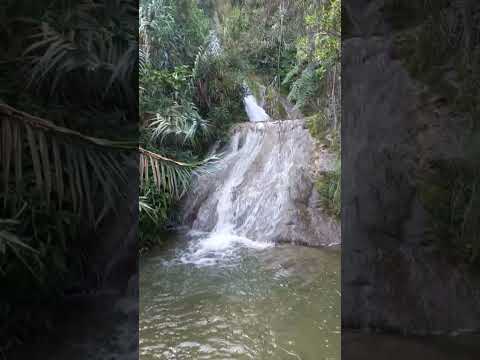 Cascada Cuisha,ubicado en distrito Luya,provincia Luya;región Amazonas🏡🇵🇪