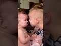 Brothers Love With Small Brother Status Brother Love Brother Whatsapp Status Brother S Love Bhai