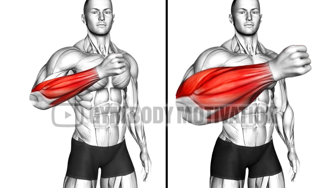 5 Min At Home Workout to Improve Your Forearms