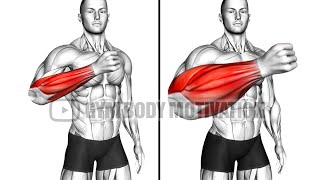 5 Min At Home Workout to Improve Your Forearms