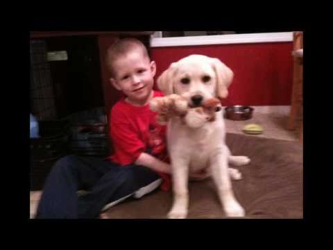 Brayden's Make-a-Wish story told for 2011 radiothon on K103