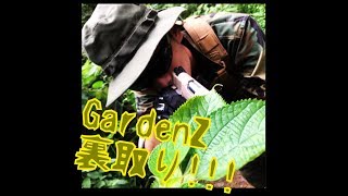 Ray's サバゲー!!!　裏取り成功（？）
