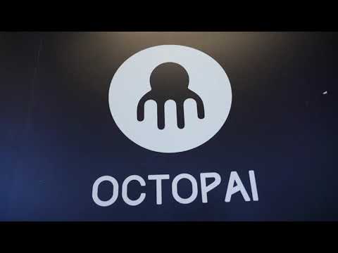 How Octopai’s data intelligence platform affected the visibility and trust of their organization’s data