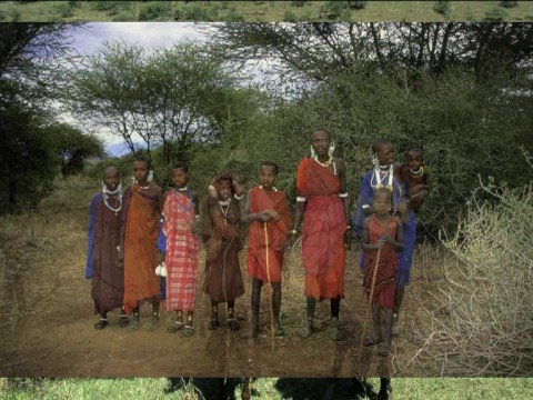 5000 Kilometer mit dem Pferd durch Afrika