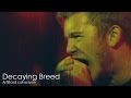 Decaying Breed – Artificial cataclysm 