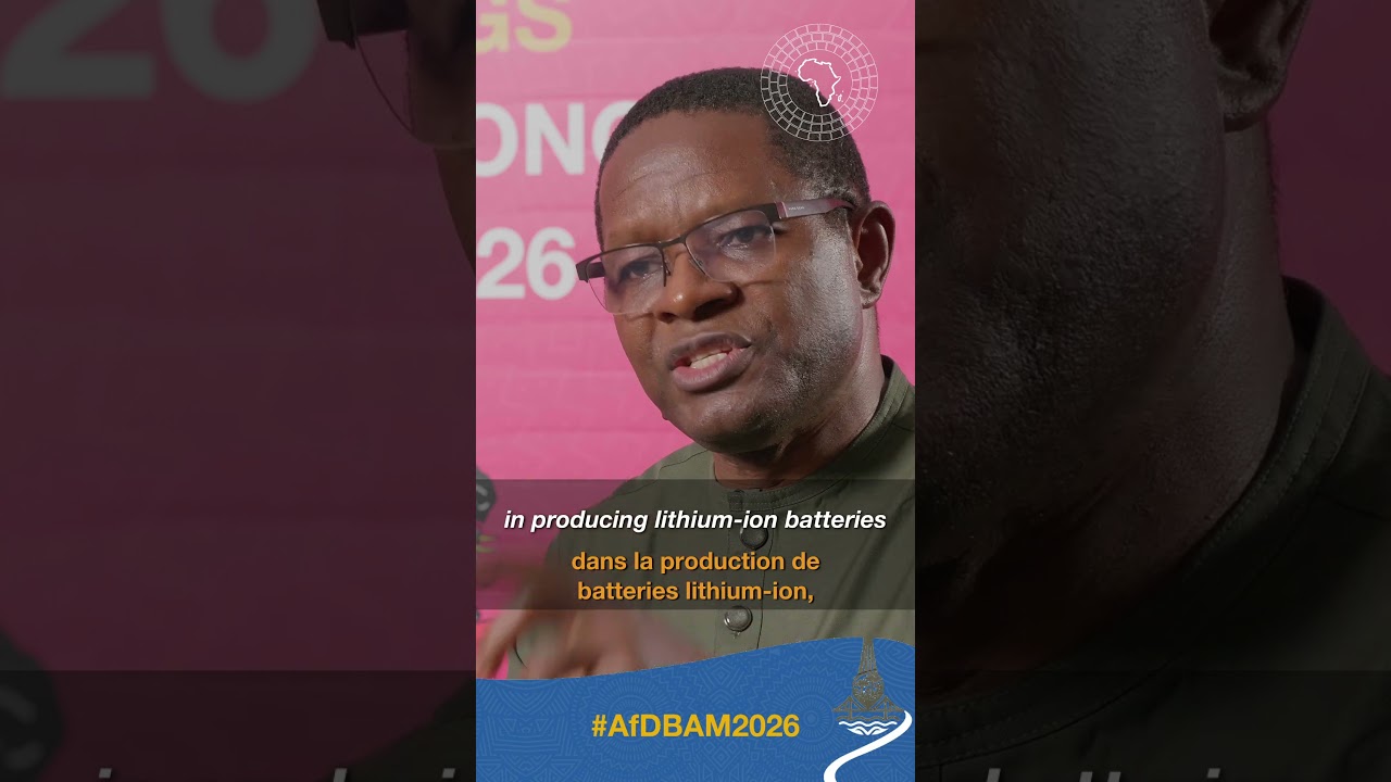 Kevin Urama: Lithium-ion battery factories here cost one-third of China’s