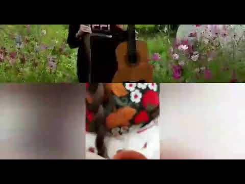 Невероятно, но факт | 7809 Полина Горбачева