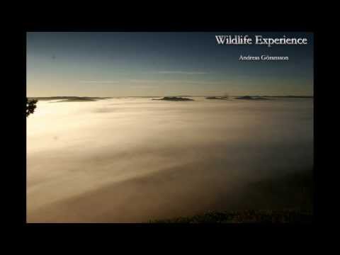 Timelaps över Hammarstrand