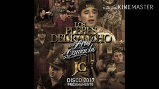 Los Plebes Del Rancho - &quot; Al Mayo Lo Que Es Del Mayo&quot; (Estreno 2017) (CON LETRA)
