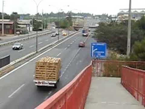 Mi Pegaso 2020 y Yo.