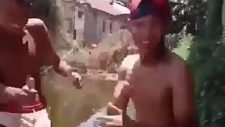 Download lagu Video lucu durasi pendek tapi bikin ngakak abis mp3