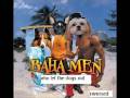 Who Let The Dogs Out Baha Men Reversed