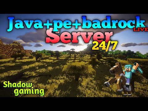 Shadow Gaming - MINECRAFT SMP LIVE 24/7 JAVA + BEDROCK + PE || FREE TO JOIN
