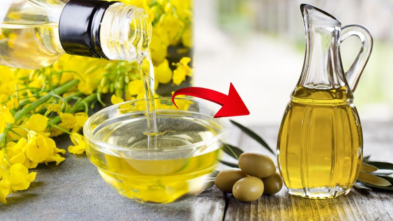 Watch video OLIVE OIL VS CANOLA OIL! WHICH ONE IS HEALTHIER Now OLIVE OIL VS CANOLA OIL! WHICH ONE IS HEALTHIER