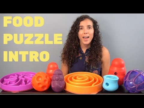 What are Dog Food Puzzles? | Food Puzzle Reviews | An Intro to Feeding Your Dog from Puzzle Toys