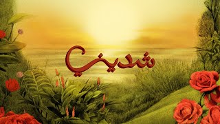 كلمات اغنية شديني توو ليت