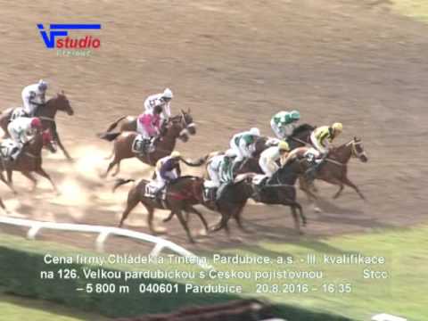 20. 8. 2016 - 7. dostih - Cena firmy Chládek a Tintěra, Pardubice, a.s. III. kval. na 126. VP s Čp