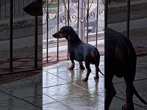 Domingo em Antônio Prado de Minas. MG / Se inscreva e deixe seu👍
