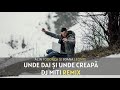 Alin Fodorca și Ioana Leonte Unde Dai și Unde Creapă DJ MITI REMIX