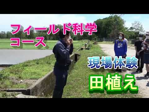 【フィールド科学コース】現場体験（田植え①）