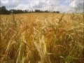 It's what I am by John Michael Montgomery