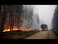 HITZE Schweden Ist Der Jüngste Beweis Für Den Klimawandel