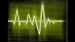 Kevin Macleod - Cut and Dry - Electronic Hard