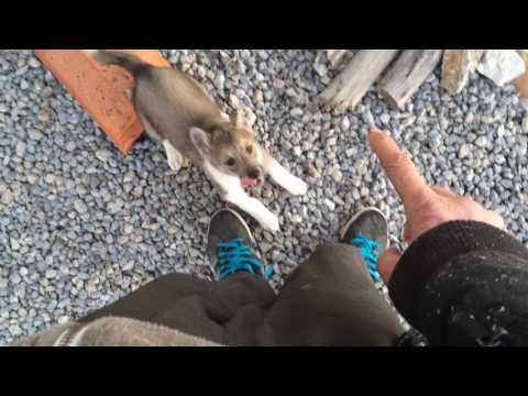 #ProjectAbundance - Drax MC Vlog - Part 8 (December 2016)