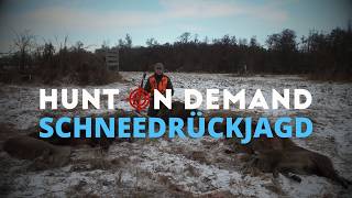Schneedrückjagd in Mecklenburg von @feldundjagd6137